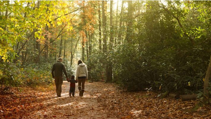 Personas caminando juntas por un sendero rodeado de bosque, representando la comunidad, la confianza y el camino compartido que inspira a Musgo de Roble.