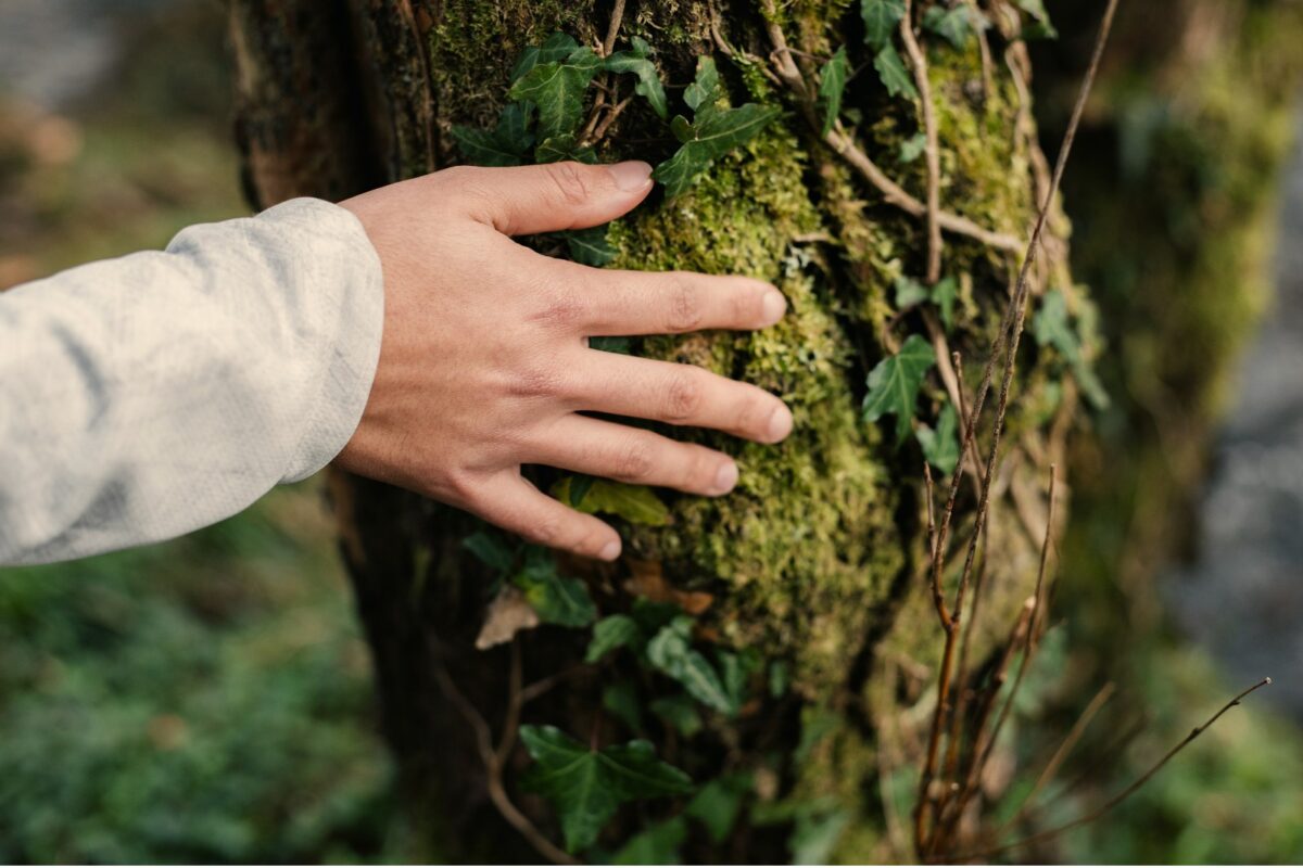 Mano tocando el musgo sobre el tronco de un árbol, símbolo de la conexión con la naturaleza y la filosofía de Musgo de Roble.